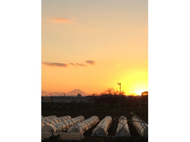 夕日と富士山