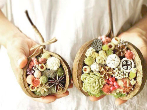 《コロンとしたシルエットが可愛いブッダナッツ》★持っていると幸せになるというアイ...