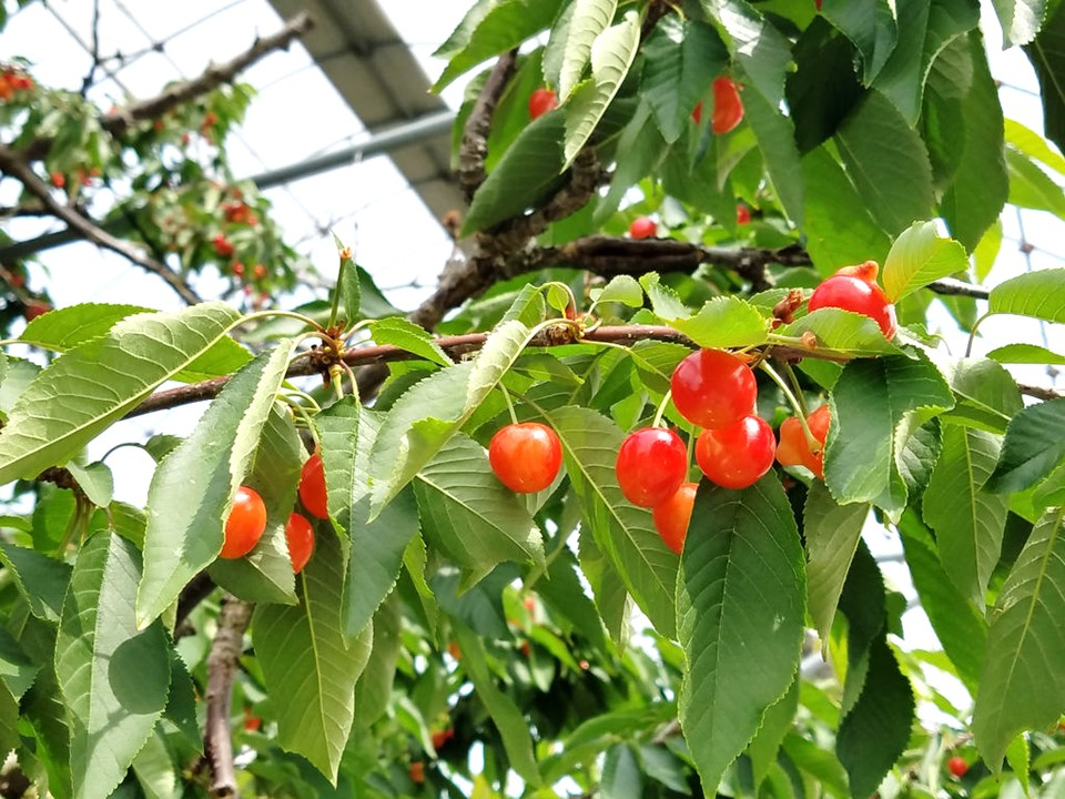 南アルプスの観光スポットランキングtop10 じゃらんnet