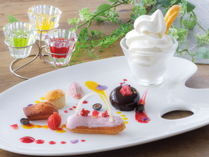 Palette - XC[cv[gɂ́AXC[c5̂قAďC̐΂Ȃ܂\tgN[YĂ͂B