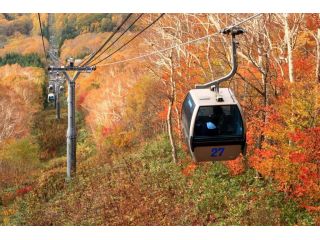 みなみ北海道を一望 ゴンドラ往復チケットプラン 四季折々の絶景を楽しめる 函館七飯ゴンドラ 函館七飯スノーパーク じゃらん遊び体験