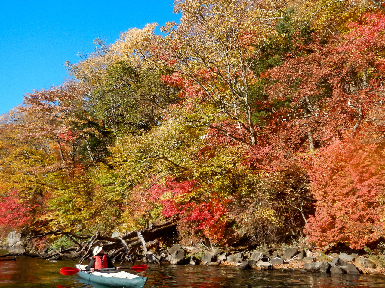 ガイドのおススメ!≪早朝 7:30≫ 日光中禅寺湖で絶景のカヌーツアー 少人数・...