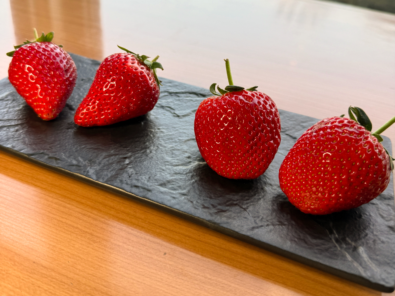 2/1�`2/28�\����T�@�u�����h�i��̂������H�ה��