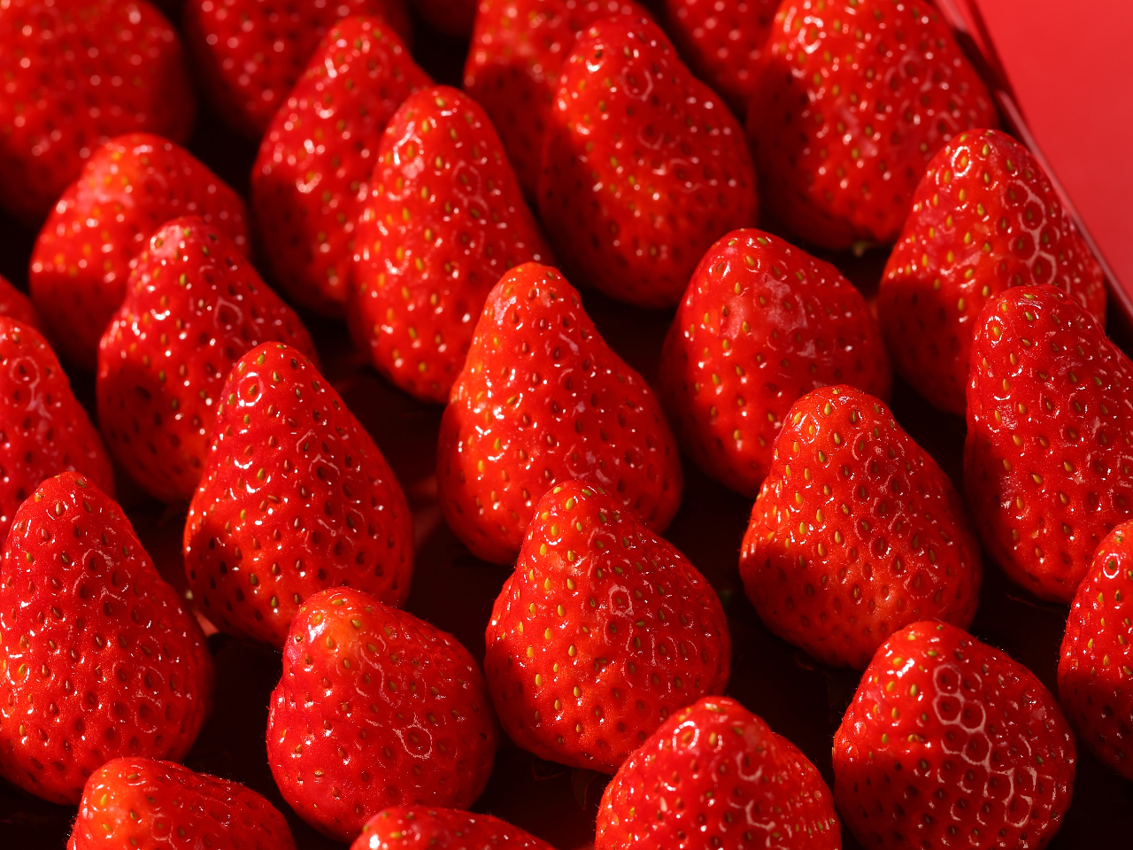 �������H�ו���