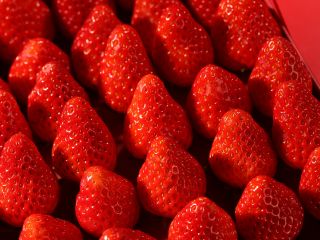 いちご食べ放題