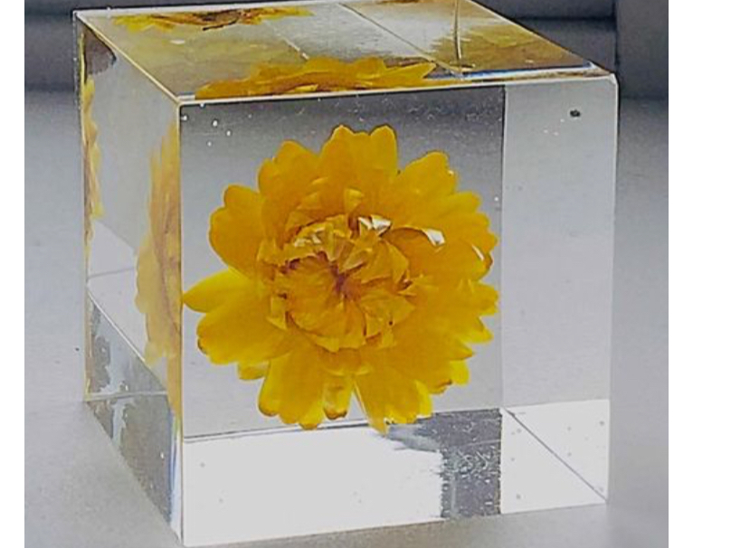 かたまるハーバリウムクリスタルアートリューム作り体験《2,900円  