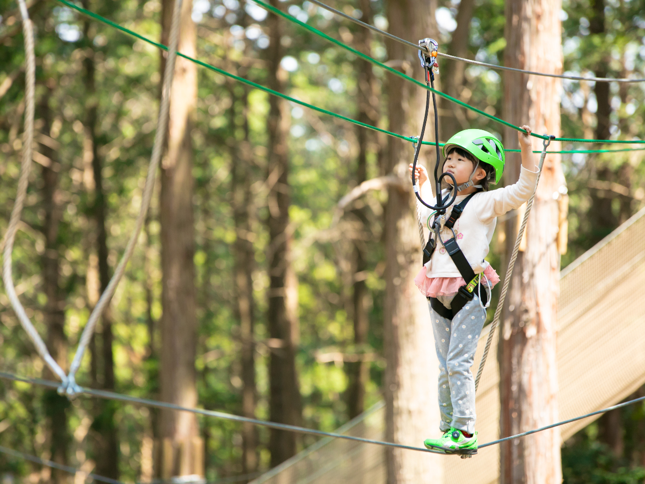 110cm̂ql`WłILms[R[X