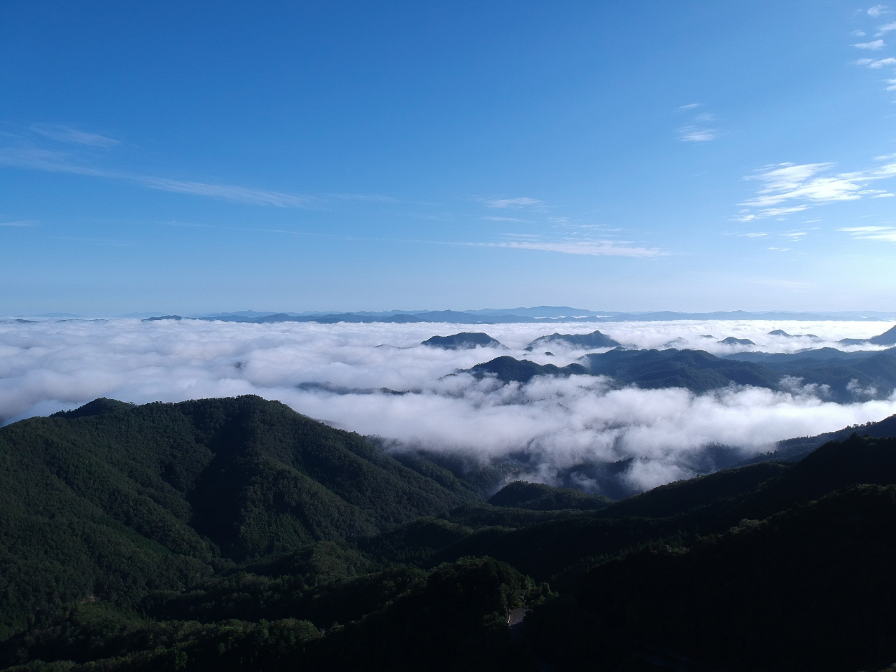 ́ABꐯ&_CX|bgIĂ͔nɂȂII