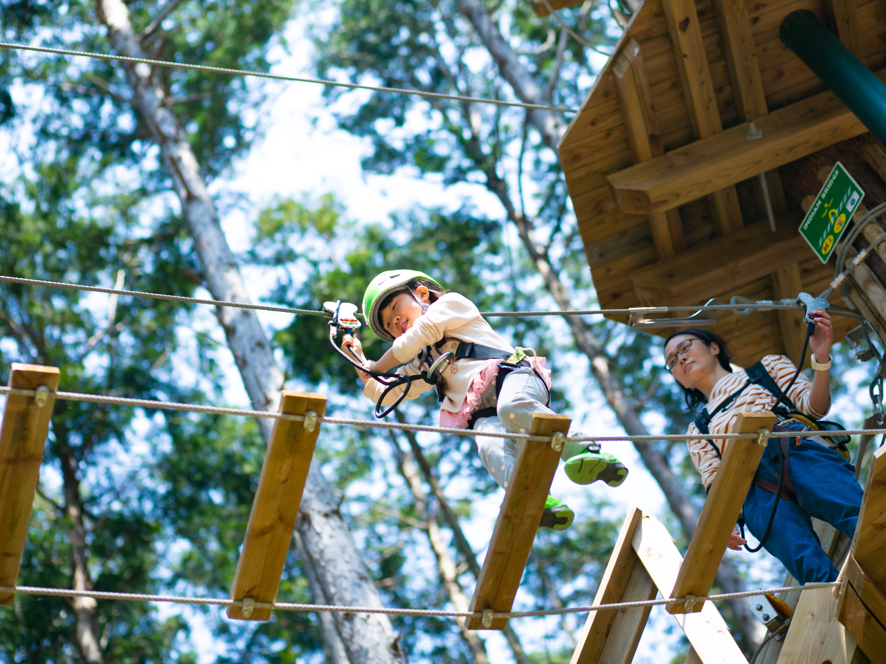 �^�������ȕ���^���s���C���ȕ��ɂ��I�X�X���I