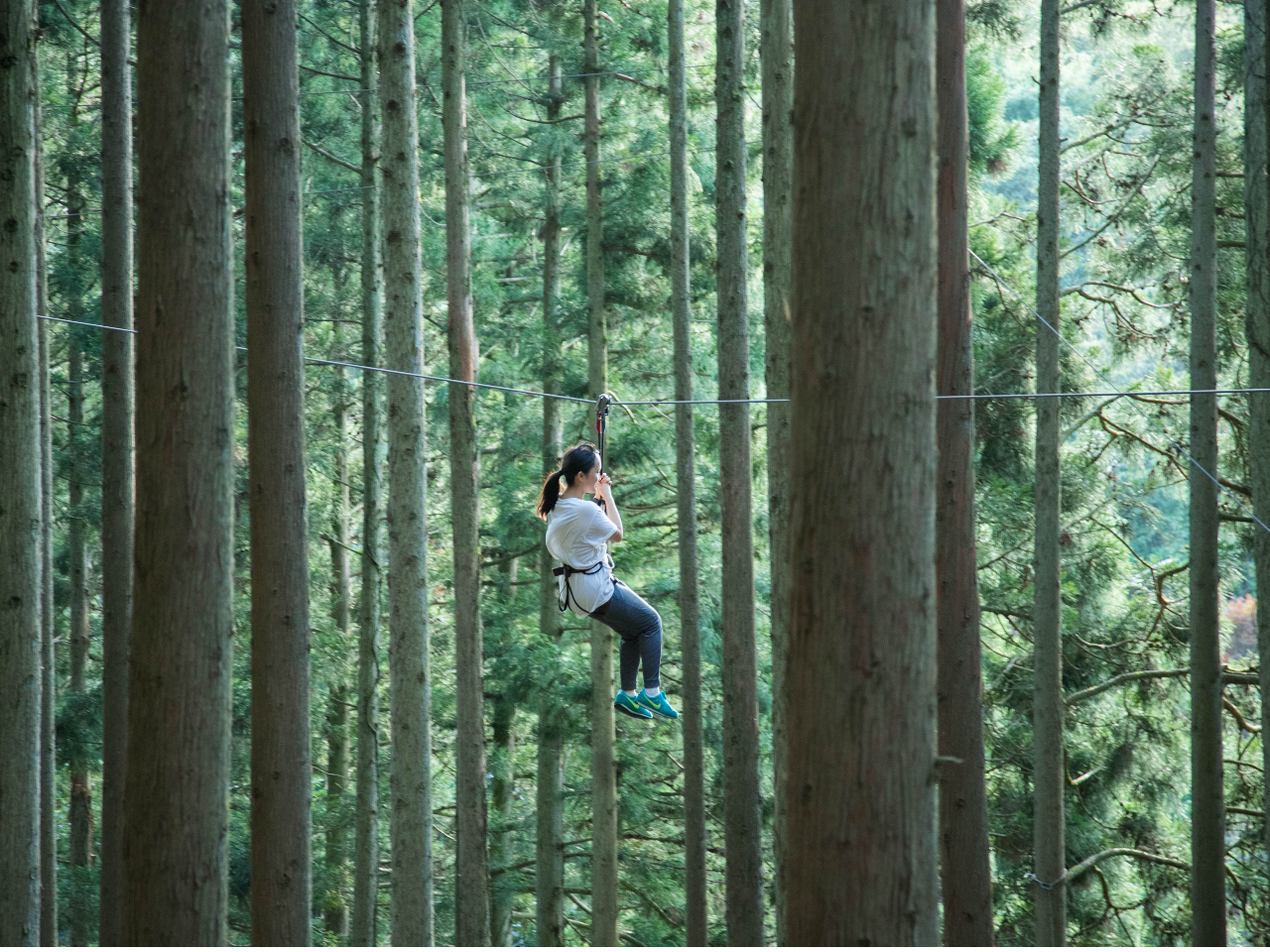 �W�b�v�X���C�h�͍��v5�{�I����20m����u���Ɋ������Ⴈ���I�I