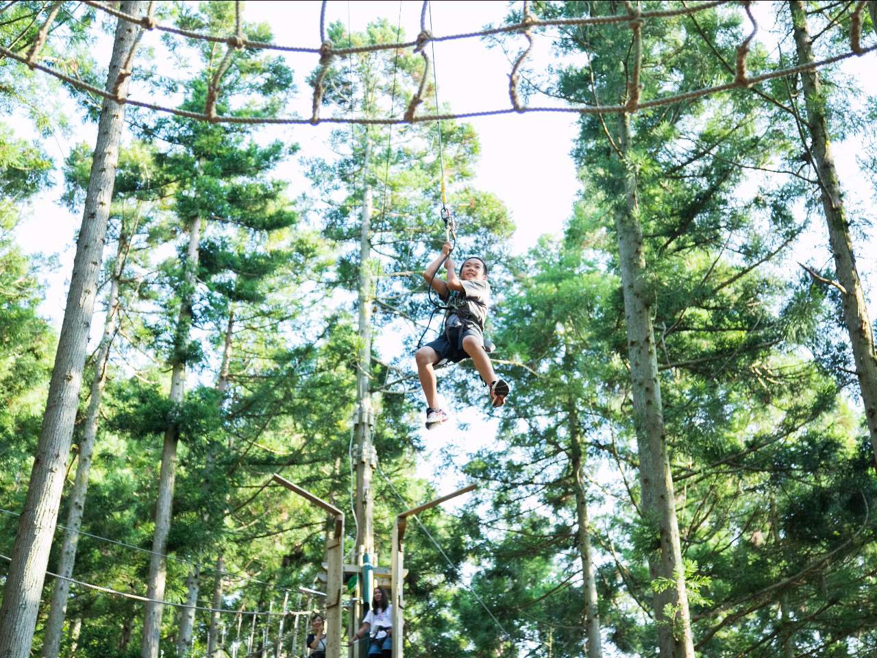 �^�������ȕ���^���s���C���ȕ��ɂ��I�X�X���I