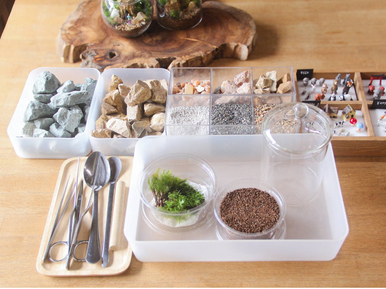 ۂ̓V[YƂɕςAS҂̕ɂ߂̑ۂpӂĂ܂B΂⍻́AɊ܂܂邽߉łłI