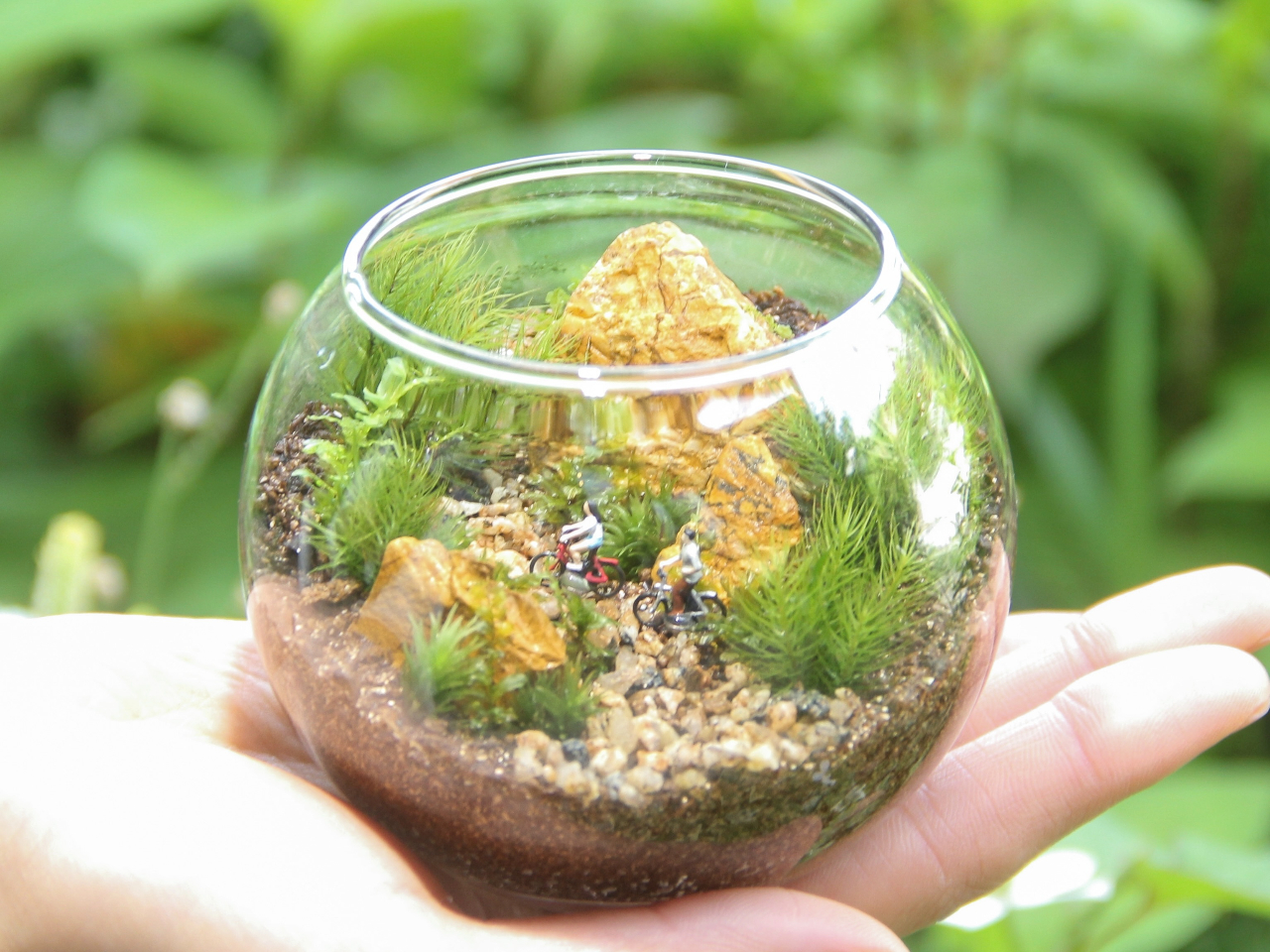 �{�E���^�e���+200�~�œ����I���\�ł��B