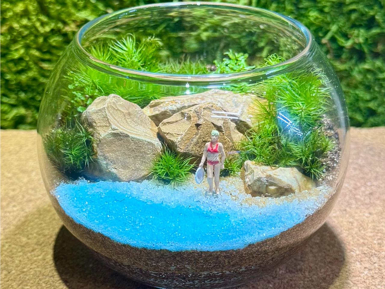 神奈川/鎌倉 苔テラリウム制作 基礎編】☆当日参加可能☆初心者さん大