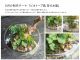 5月は水辺の風景を器の中に切り取るビオトープ風の水盤を制作します。 クラフトモスとプリザーブド素材を用いることで、屋内で気軽に楽しめる形に仕立てていきます。