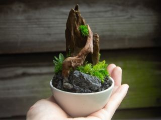 9月の制作テーマ「苔のアロマディフューザー」(小)6,500円 (大)8,500円 ※大をご希望の方は、当日+2,000円をお支払いいただきます。
