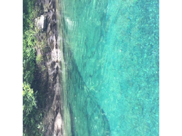宮川