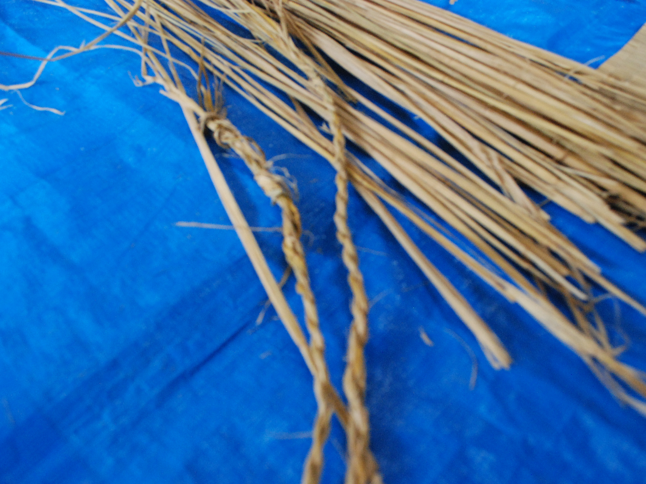 �R�c�����ނƊȒP�ɂ���悤�ɂȂ�܂�