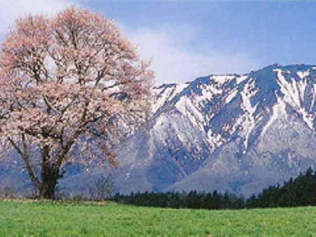 季節ごとに変わる自然の風景と、館内のステンドグラスが調和し、訪れるたびに新しい発見があります。春の桜、夏の緑、秋の紅葉、冬の雪景色とともにアートを楽しめます。