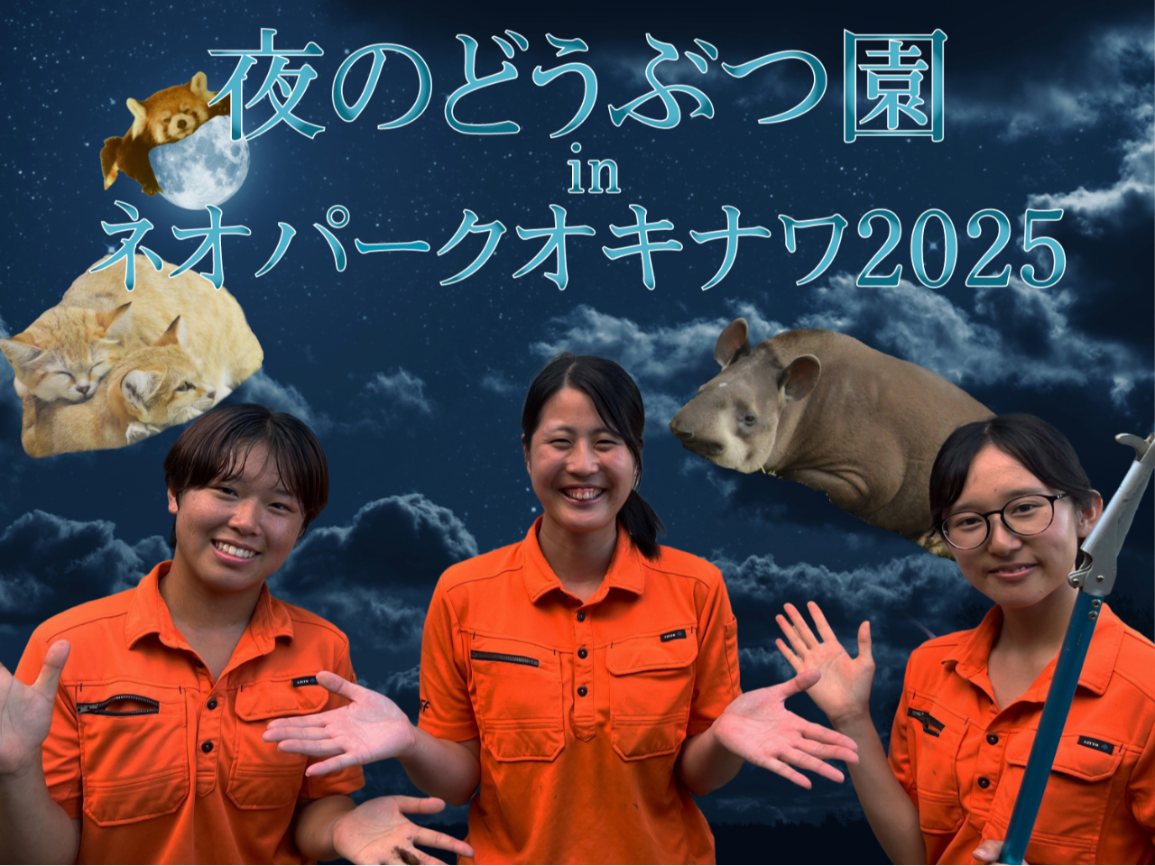 沖縄北部・名護】【期間限定イベント】夜のどうぶつ園in