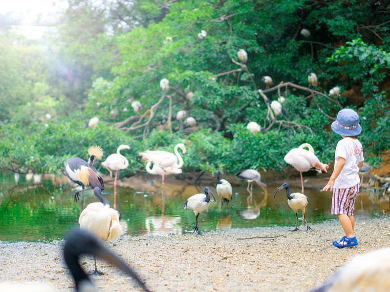 {ő̃tCOQ[WI̒o}B0ł̂ӌł