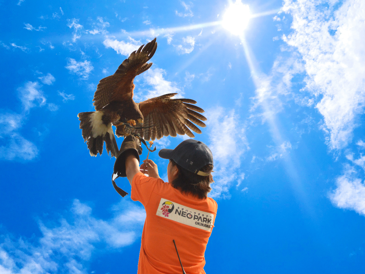 JÁIo[hptH[}XV[BAM11F00@PM2F302Bꂽ͖Ŋϗł܂B