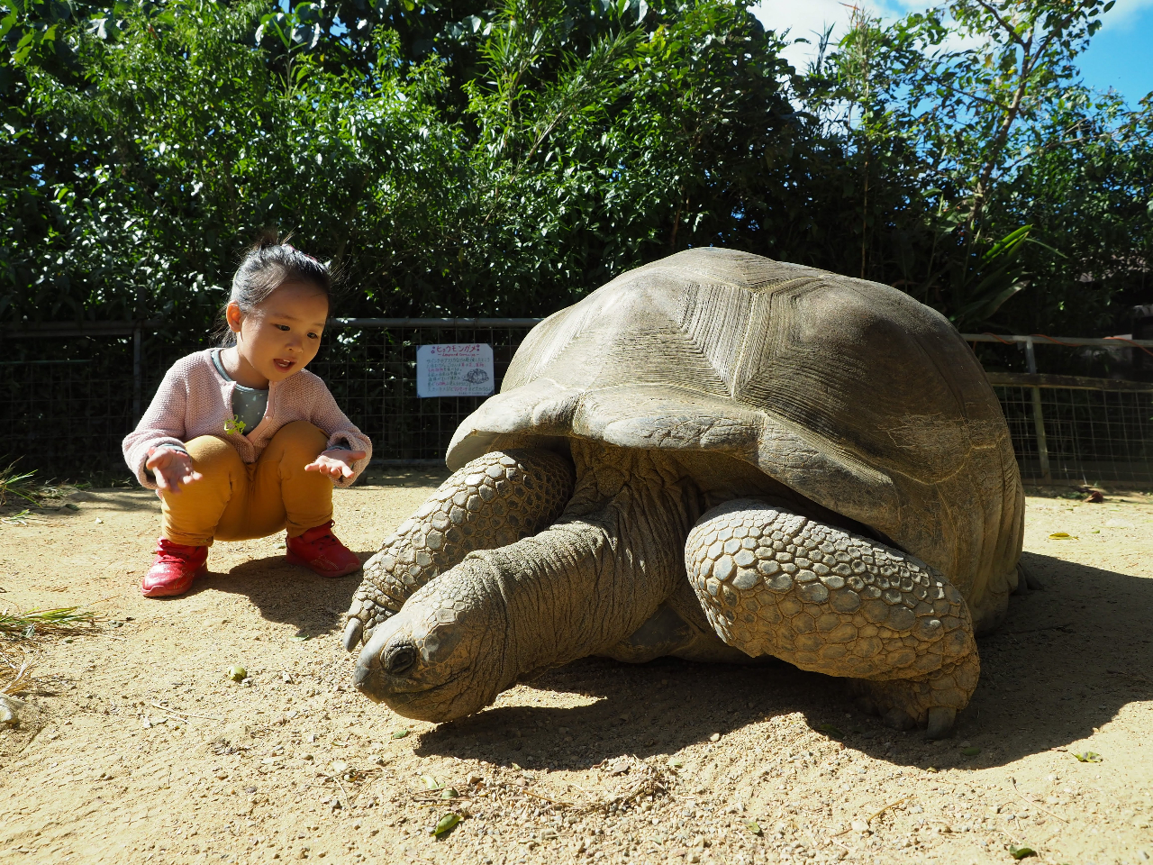 ӂꂠL bgA]EKA^AETMAMAJsoȂǂ܂Biʓr400~ꗿj 