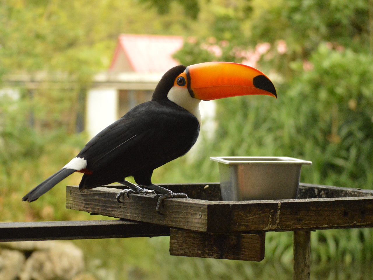 lIp[ÑV{}[NAIjIInVBێۑZ^[Biٖj