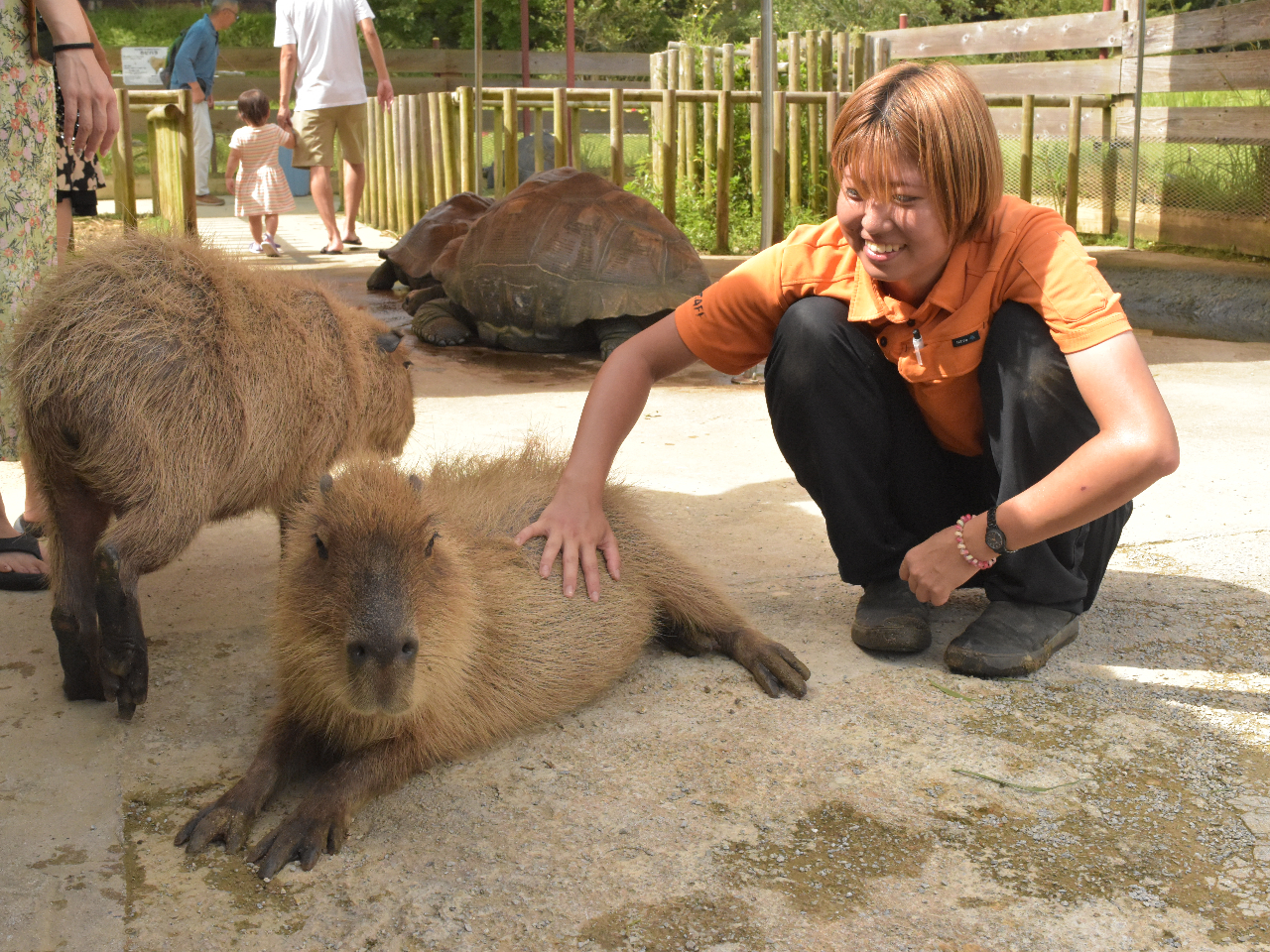 ӂꂠLAƂƂLł̓Jso⃊NKƂ̂тӂꂠ邱Ƃł܂B