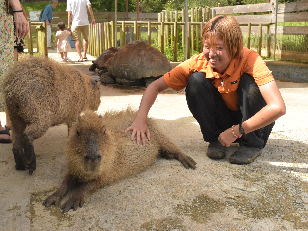 ӂꂠLAƂƂLł̓Jso⃊NKƂ̂тӂꂠ邱Ƃł܂B