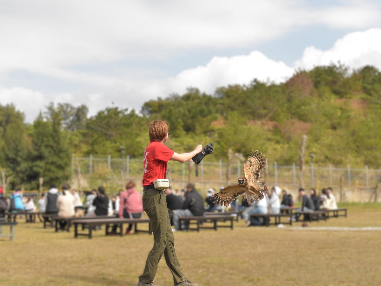 沖縄北部・名護】☆【1DAYパスポートプラン】入園＋鉄道＋ふれあい広場