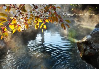 美人湯と呼ばれる自慢の泉質です。