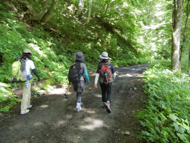 山岳ガイドと行く湯檜曽川と六沢めぐり マイナスイオンを浴びてリフレッシュ お弁当付き みなかみ山岳ガイド協会 じゃらん遊び体験 山岳ガイドと行く湯檜曽川と六沢めぐり マイナスイオンを浴びてリフレッシュ お弁当付き みなかみ山岳ガイド協会 じゃらん遊び体験