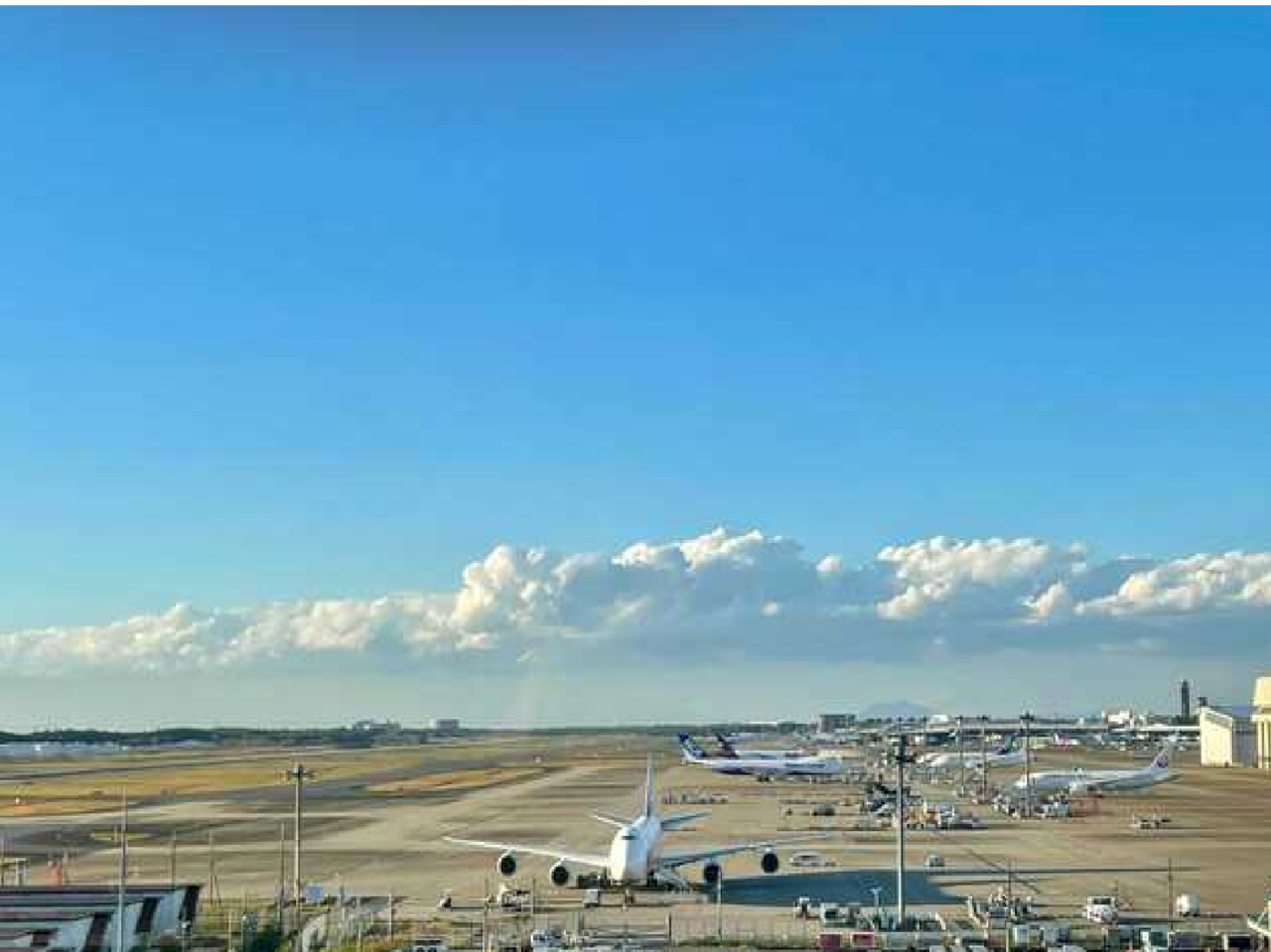 �TF�@�W�]�W��������̒���