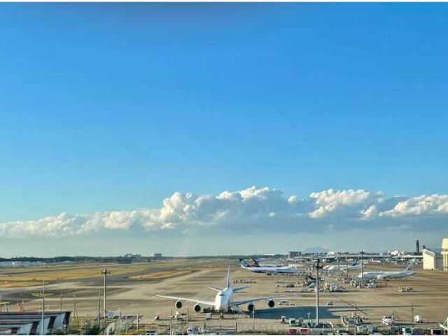 5F 展望展示室からの眺め