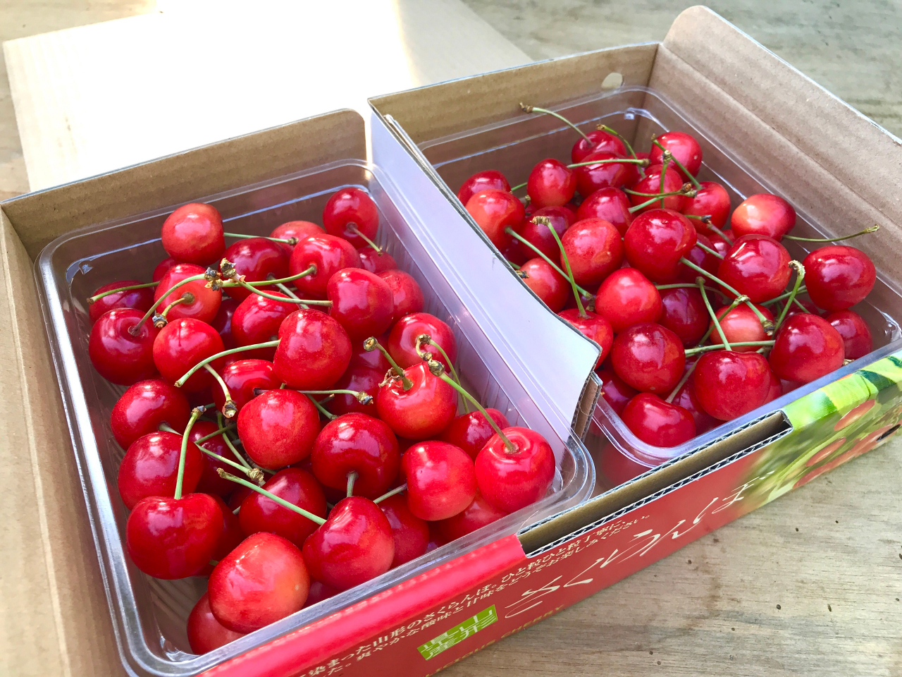 �ԗւ������ډ��̎ʐ^4