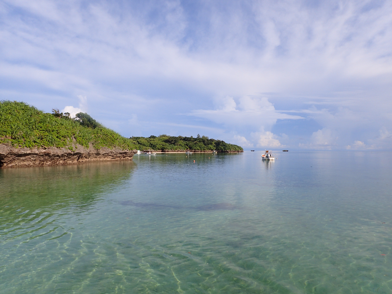 �x�^�i�M�I