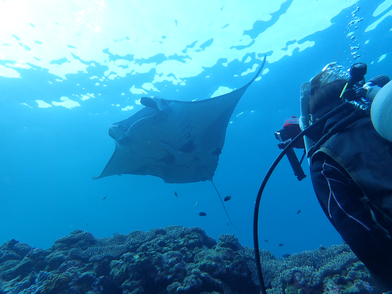 �̌��_�C�r���O�Ń}���^�ƃc�[�V���b�g�I