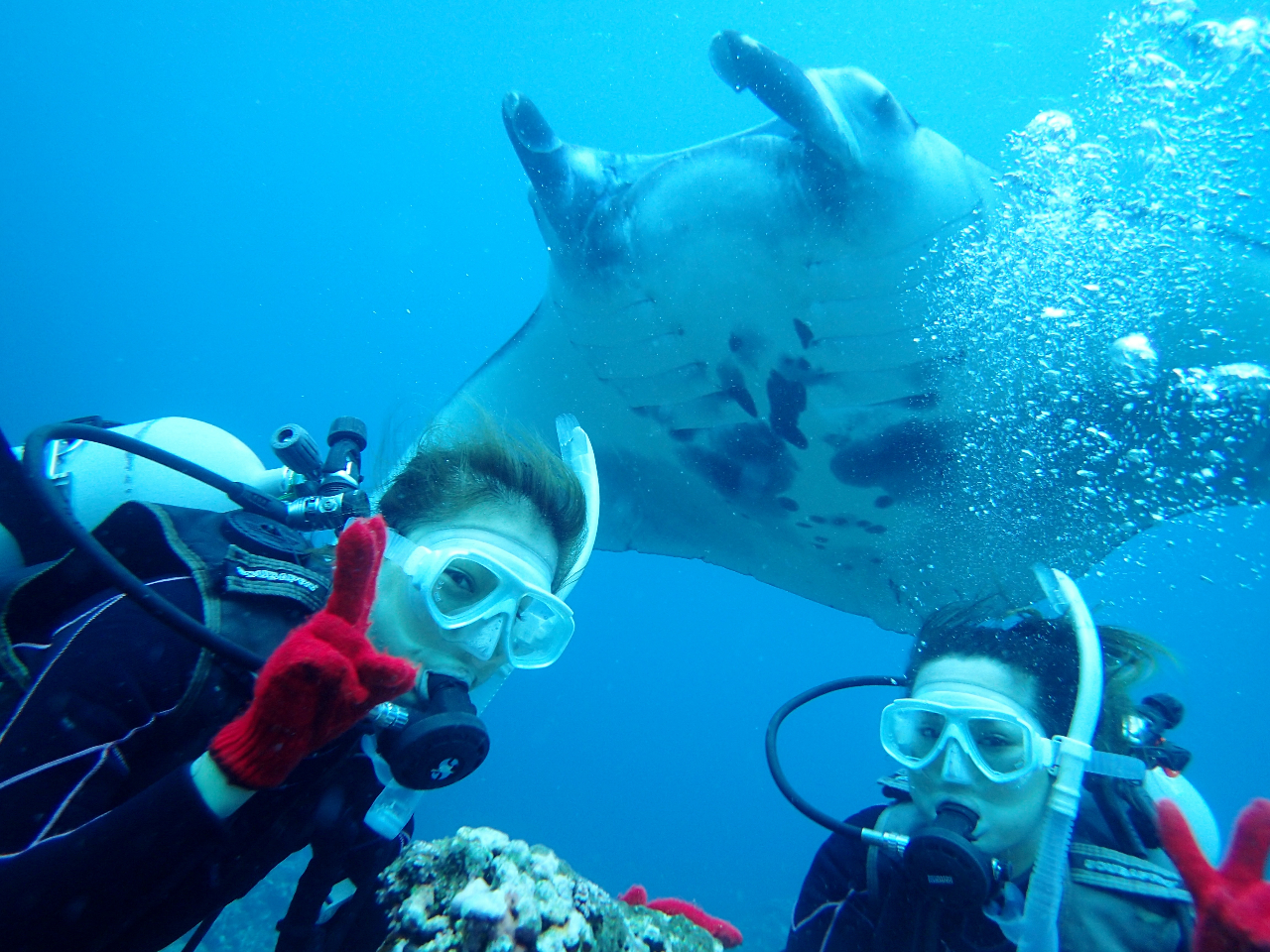 �̌��_�C�r���O�Ń}���^���^��ɁI