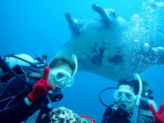 体験ダイビングでマンタが真上に!