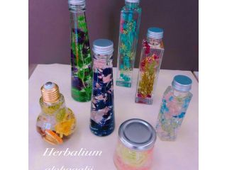 ハーバリウムボトル お好きなドライフラワーを瓶に詰めて 植物標本を作りましょう 女性におすすめ Alohaaalii じゃらん遊び体験 ハーバリウムボトル お好きなドライフラワーを瓶に詰めて 植物標本を作りましょう 女性におすすめ Alohaaalii じゃらん遊び体験