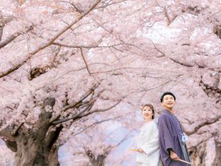 五稜郭公園の桜フォトウエディング