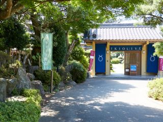 純和風の正門