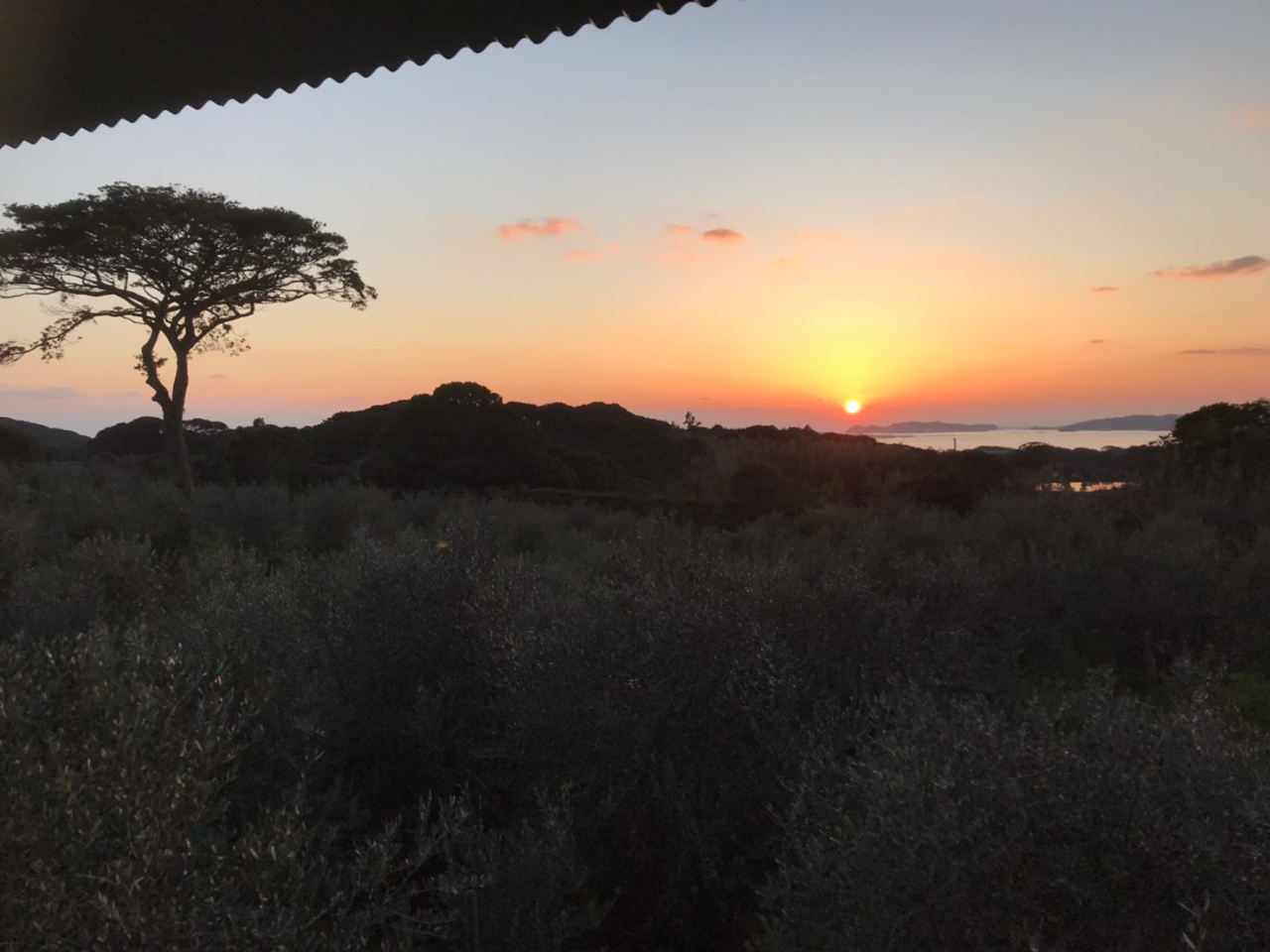 夕日も見れます