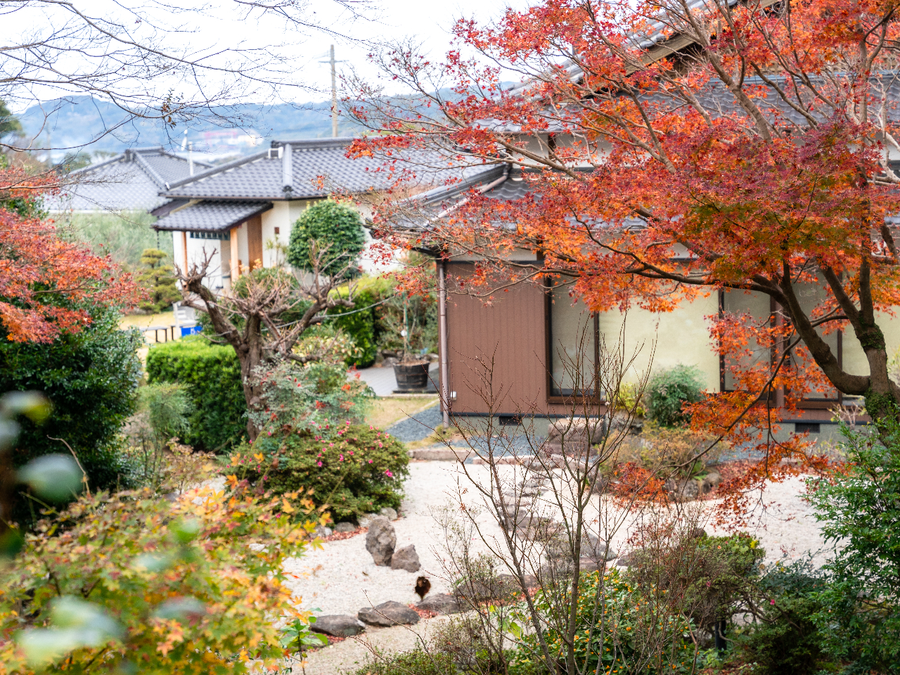 お宮から建物を望む