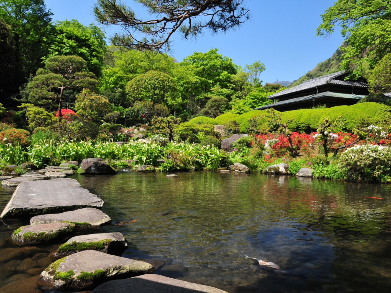 山月園(春〜初夏)