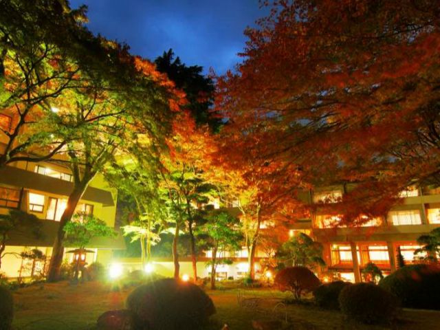 山月園紅葉ライトアップ