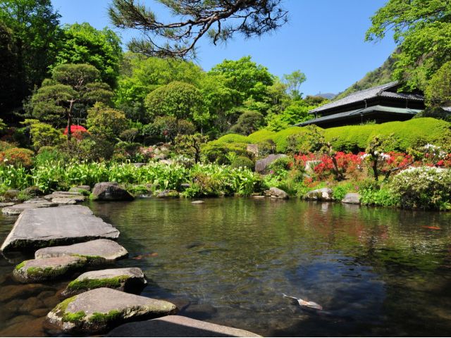 山月園(春〜初夏)