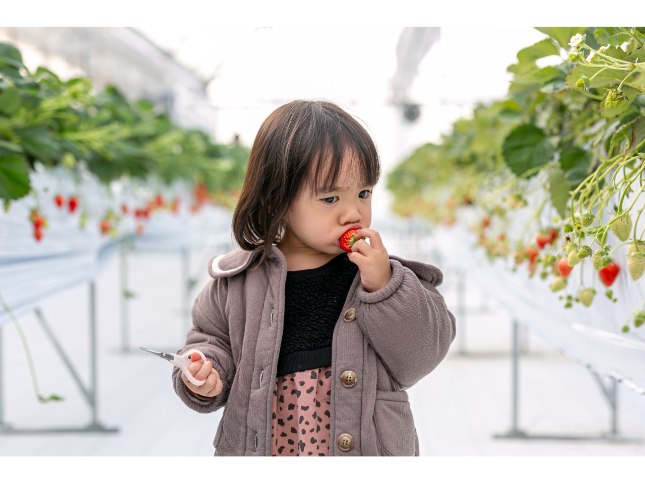 2023N3OhI[v́uꂵ̂vł