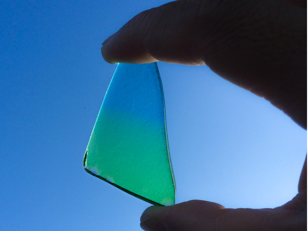 �F���傫�����l�X�B���D���Ȃ�������ǂ�����